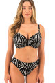 Fantasie Swim - Silhouette Island Bikini rio slip