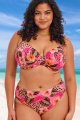 Elomi Swim - Cabana Nights Bikini Beha Plunge G-M cup