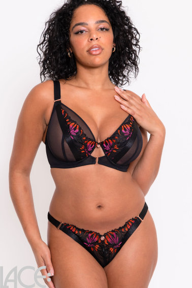 Curvy Kate - Mesmerise Brazilian String