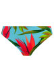 Fantasie Swim - Pichola Bikini rio slip