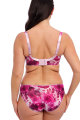 Fantasie Lingerie - Pippa Beha - Side support - G-K cup