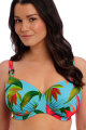 Fantasie Swim - Pichola Bikini Beha G-K cup